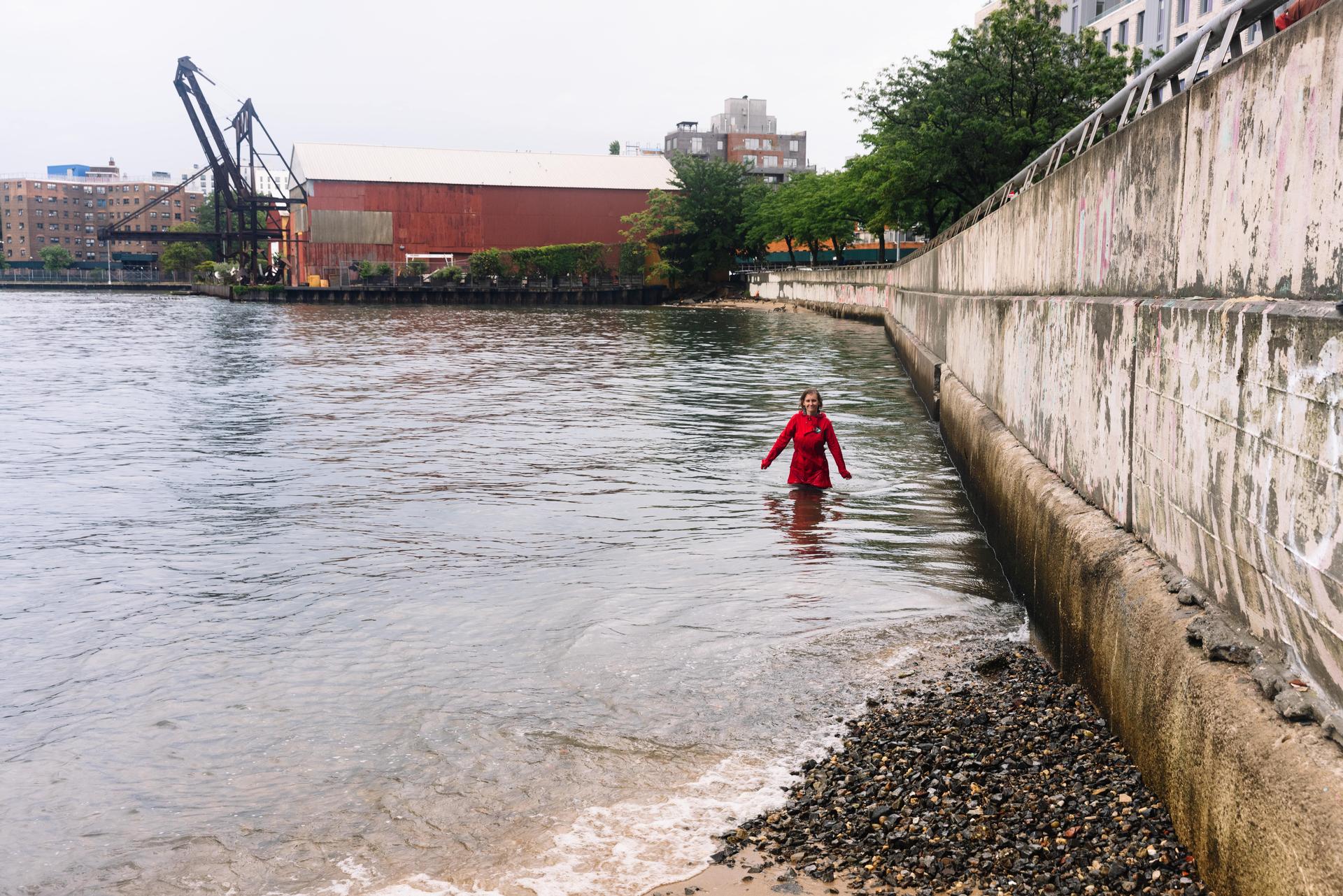 SCREENING: 36.5 / New York Estuary